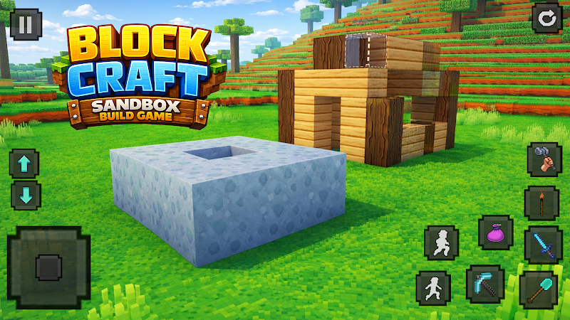 Block Craft Sandbox:Build Game screenshot 5